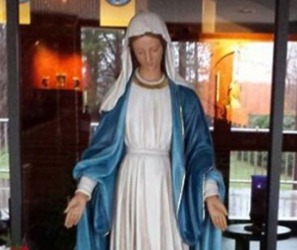 Important message from President MacDonald – Mass Mob!