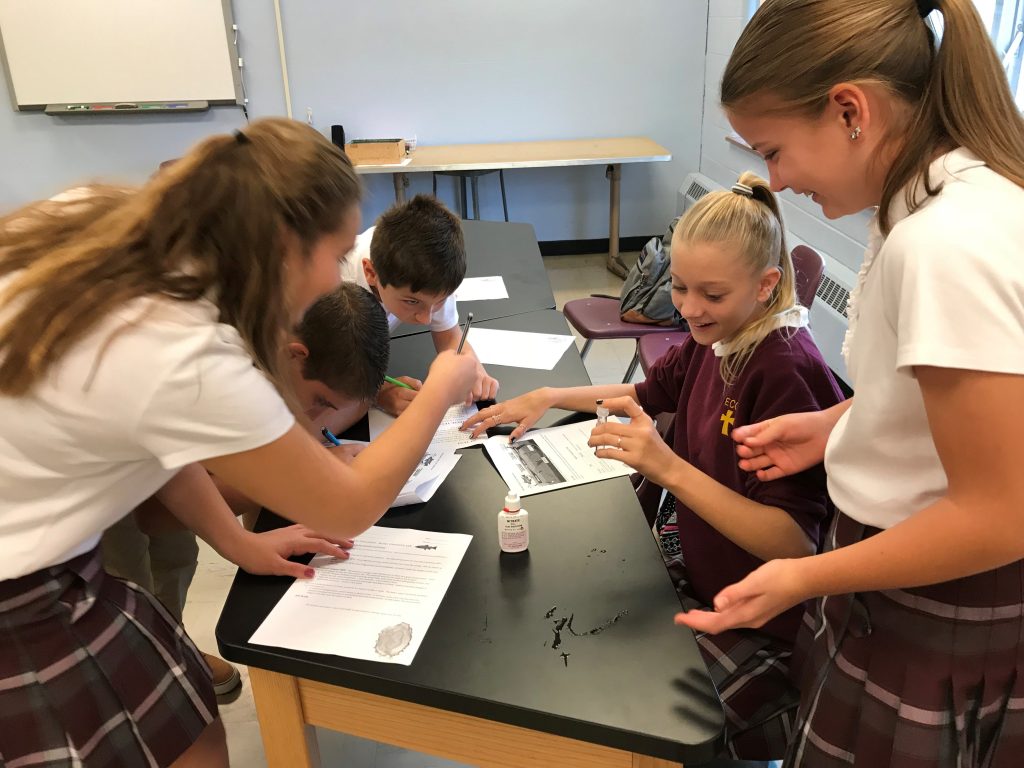 Sixthgraders participate in PA’s “Trout in the Classroom” program