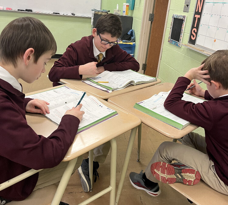 Peer to Peer Tutoring