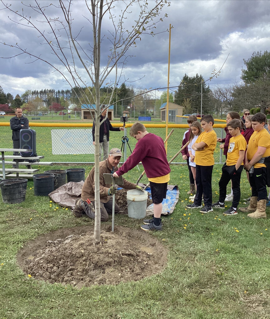 Arbor Day Activities | Elk County Catholic School System