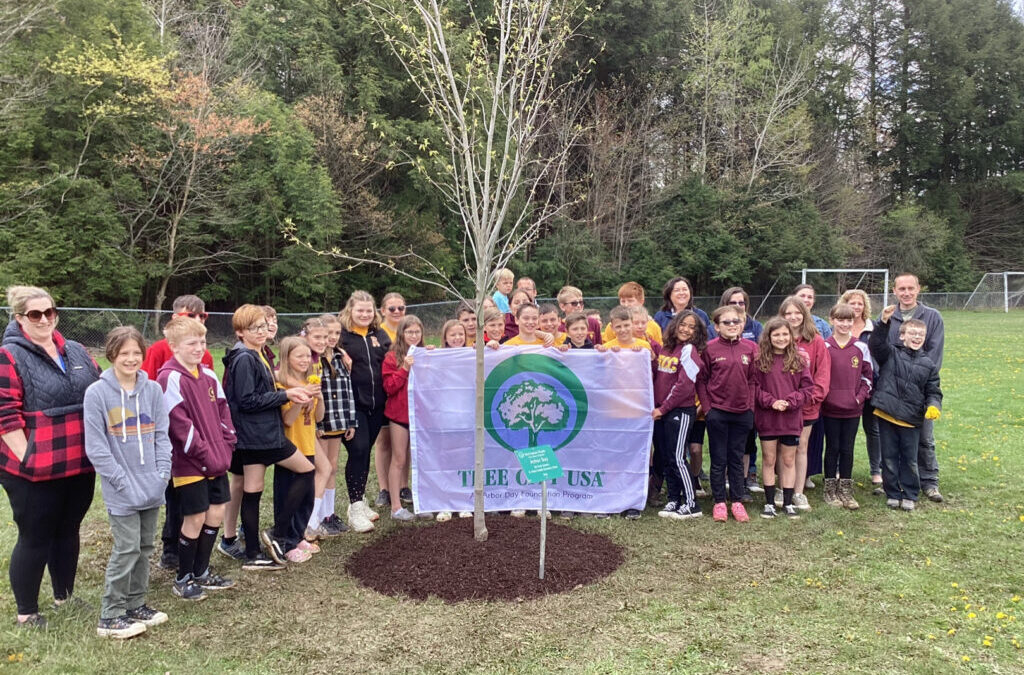 Arbor Day Activities