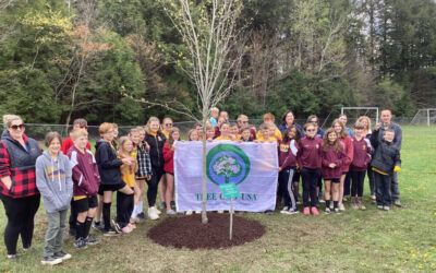 Arbor Day Activities