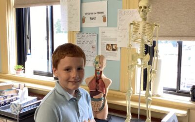 Strong Foundations at SLS