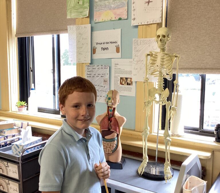 Strong Foundations at SLS