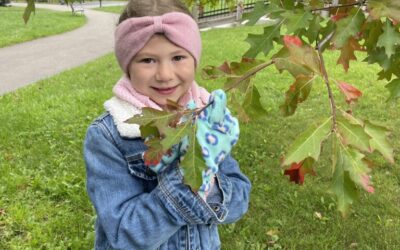Second Grade Visits Kinzua Bridge State Park