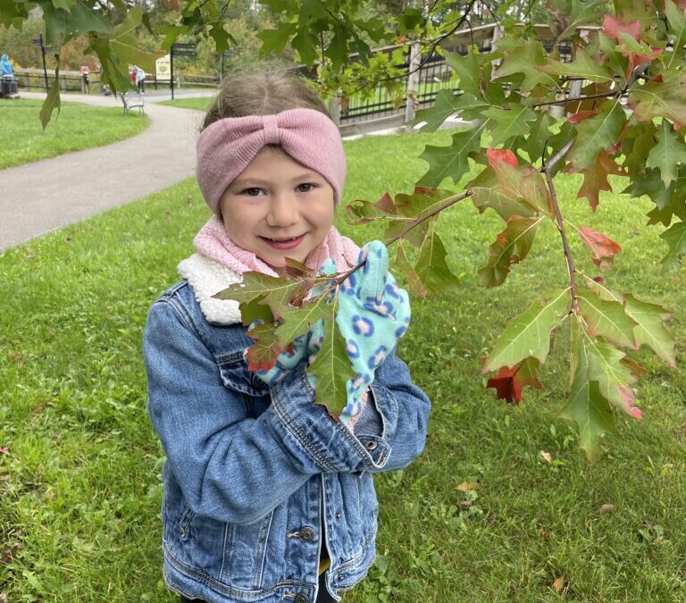 Second Grade Visits Kinzua Bridge State Park