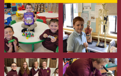 Discover Catholic Schools Week: STREAM