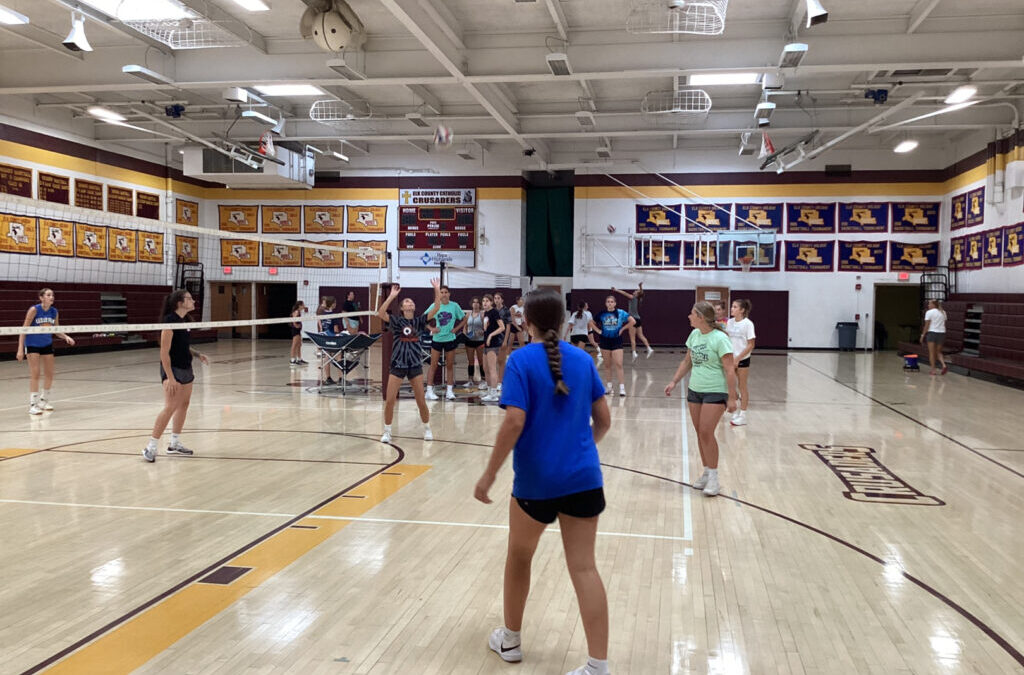 Little Spikers Volleyball Camp