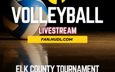 Volleyball Live Stream