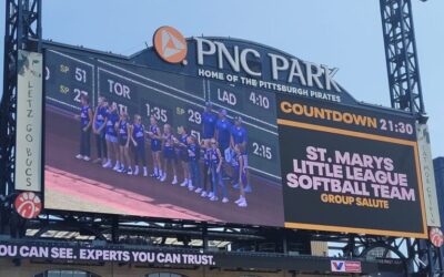 Little League Softball State Champs