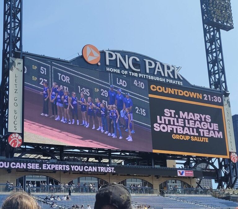 Little League Softball State Champs