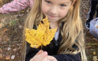 Leaf Hunt