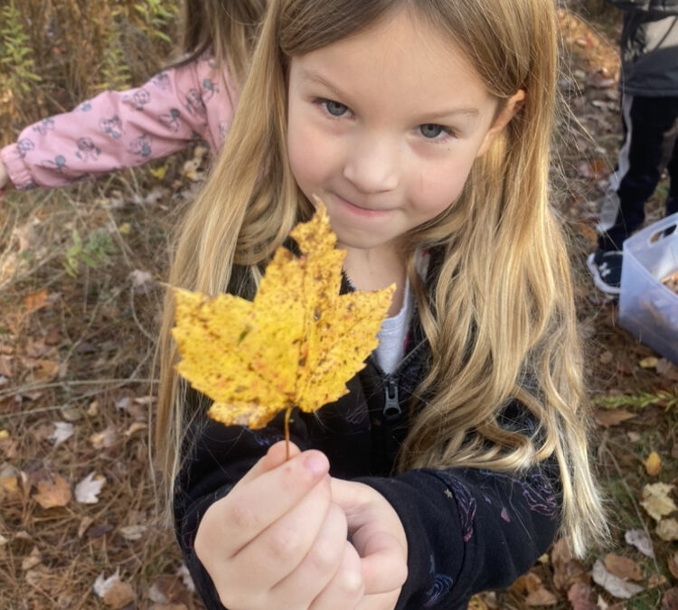 Leaf Hunt