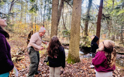 Sizerville State Park