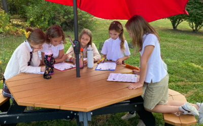 Outdoor Studies
