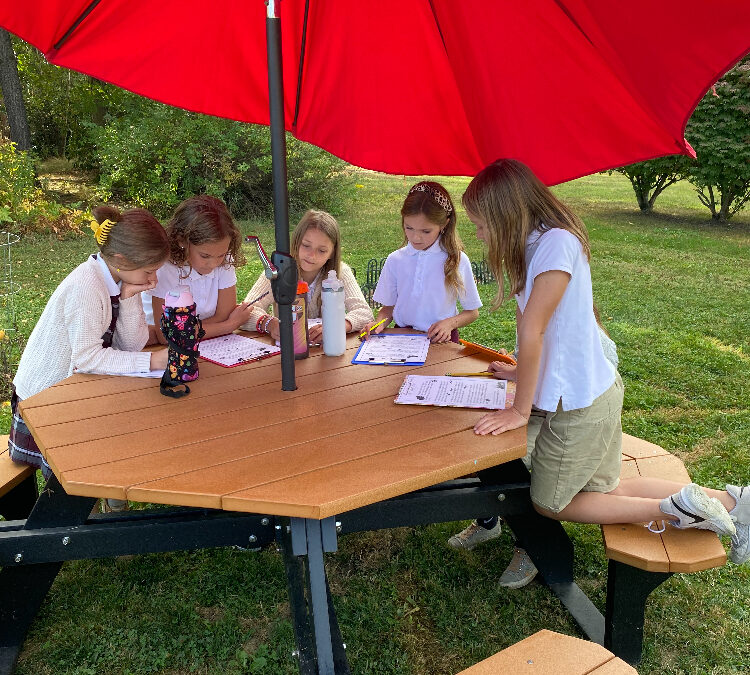 Outdoor Studies