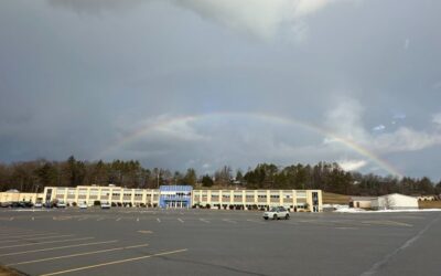 Happy St. Patty’s Day