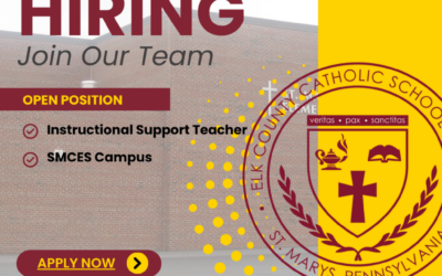 Elementary Instructional Support Teacher (IST)