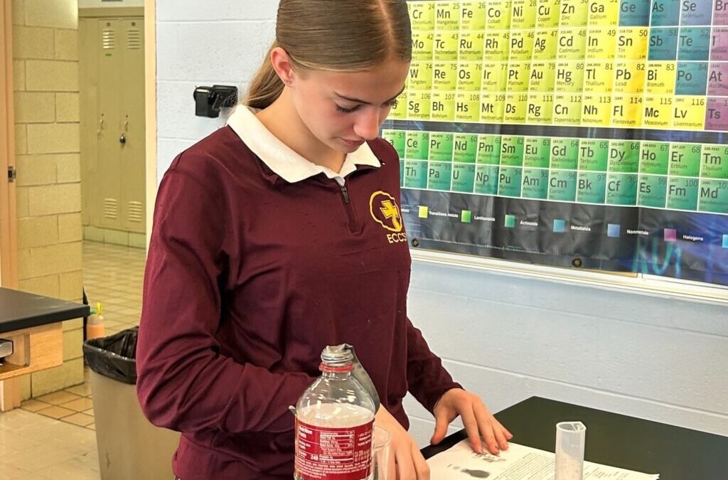 Law of Conservation of Mass