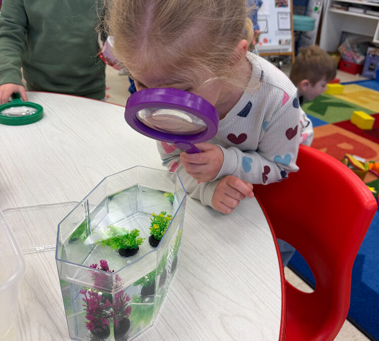 Tadpoles & Toddlers