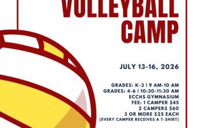 Little Spikers Volleyball Camp
