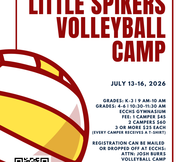 Little Spikers Volleyball Camp