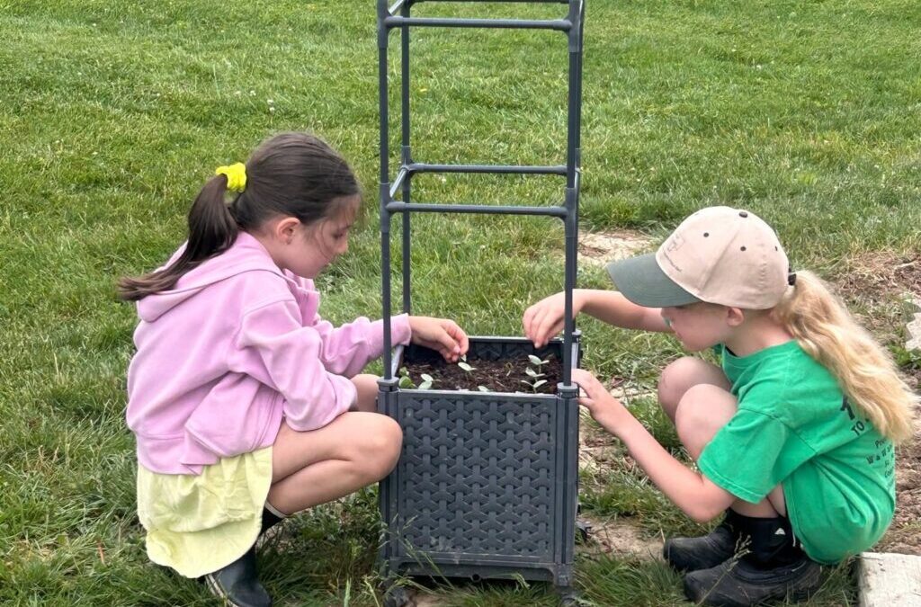 Garden Camp